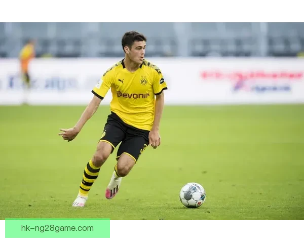 克拉马里奇领衔霍芬海姆战柏联